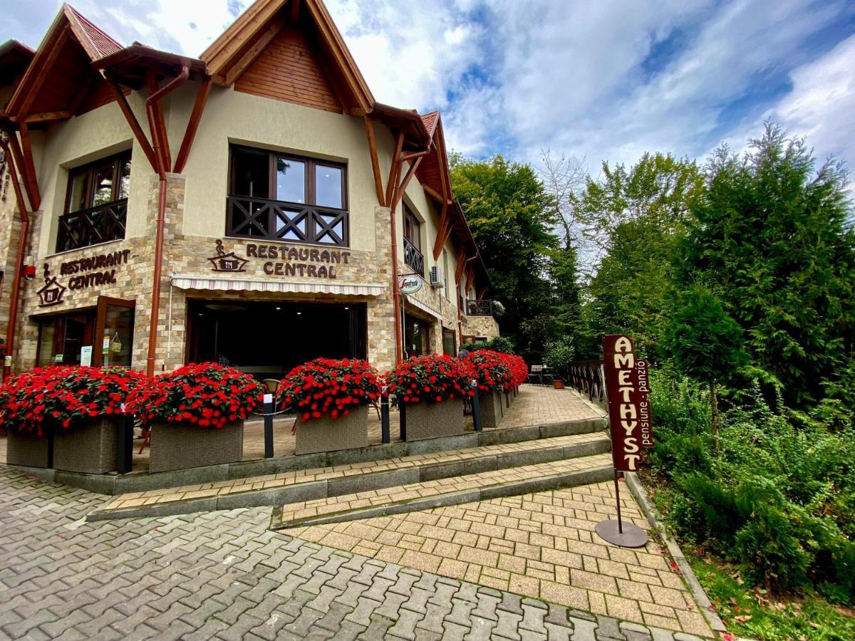 Amethyst Bed & Breakfast Sovata Exterior photo