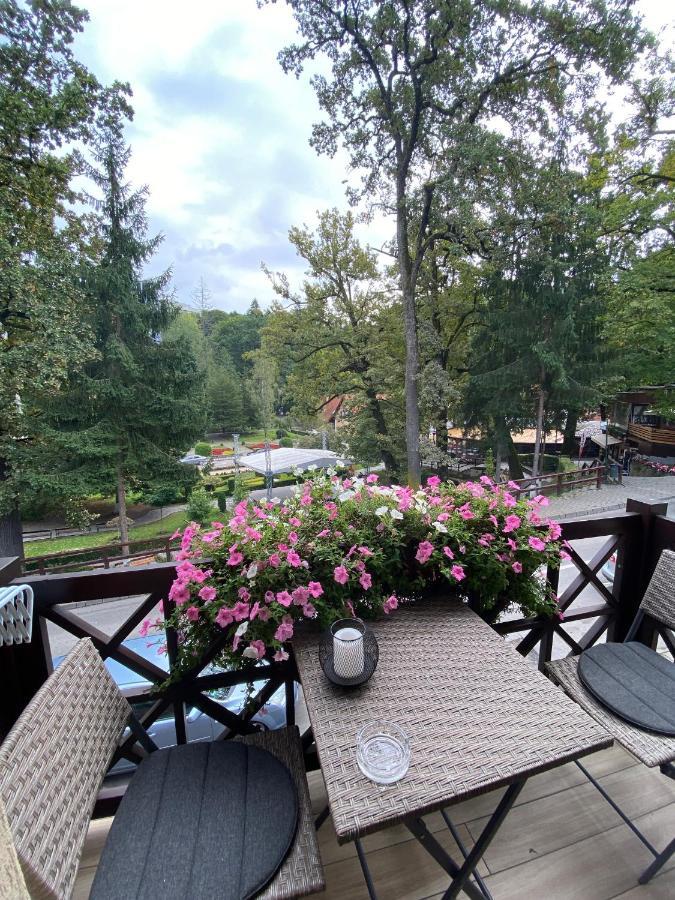 Amethyst Bed & Breakfast Sovata Exterior photo