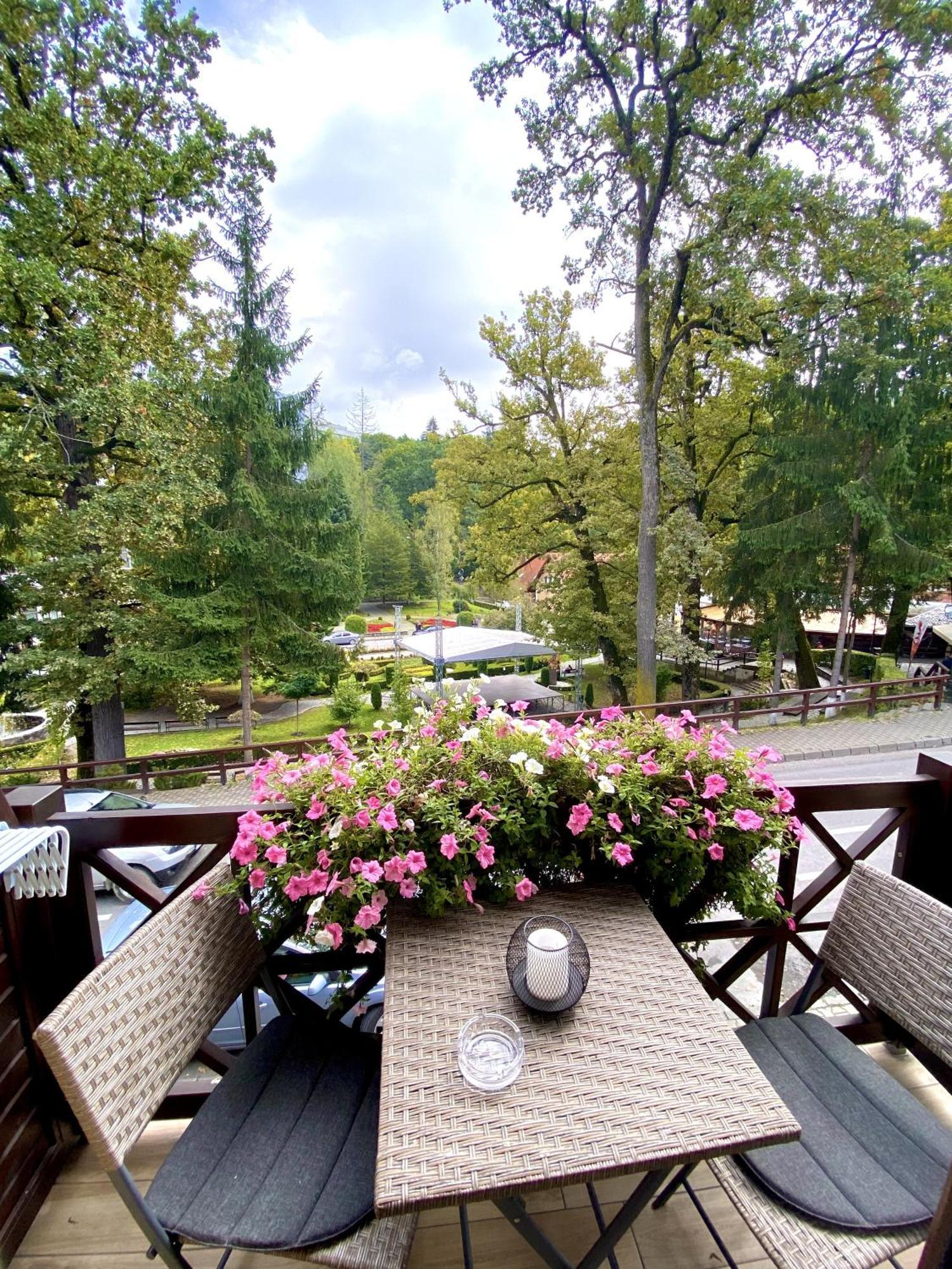 Amethyst Bed & Breakfast Sovata Exterior photo
